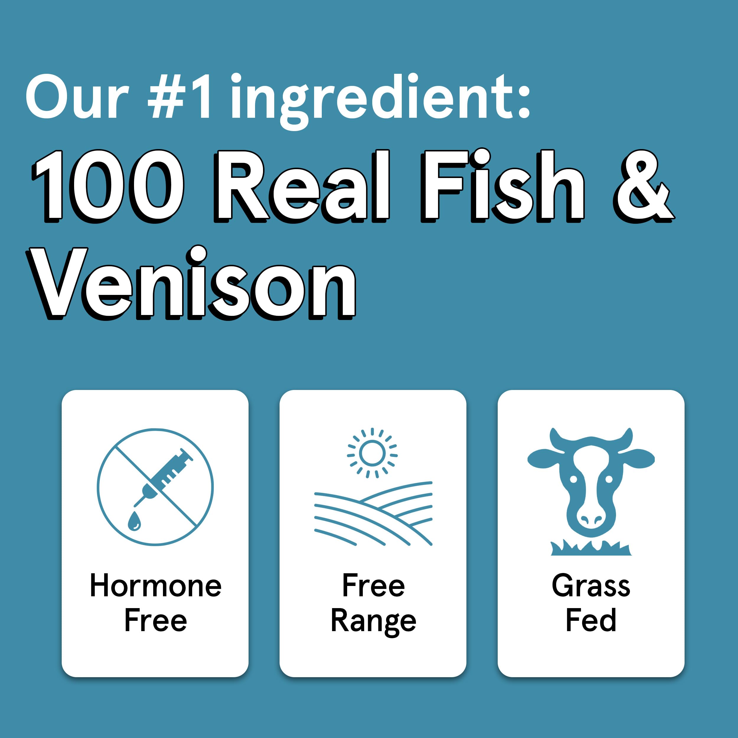 Real Meat Dog Treats - 12oz Bag of Bite-Sized Air-Dried Fish & Venison Jerky for Dogs - Grain-Free Jerky Dog Treats Made up of 9